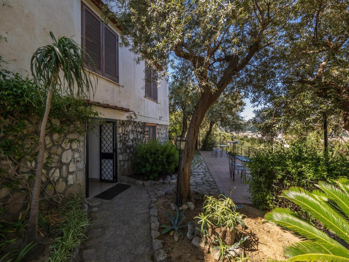 Ulivi Apt Villa ซอร์เรนโต ภายนอก รูปภาพ