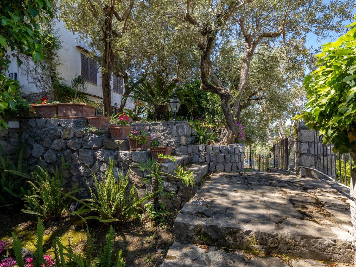 Ulivi Apt Villa ซอร์เรนโต ภายนอก รูปภาพ